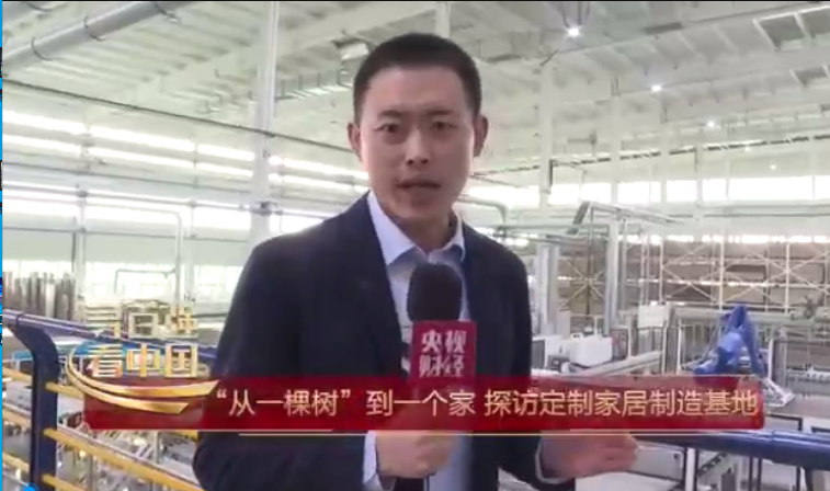 央视财经，寻百强看中国|“从一棵树”到一个家，探访定制家居制造基地