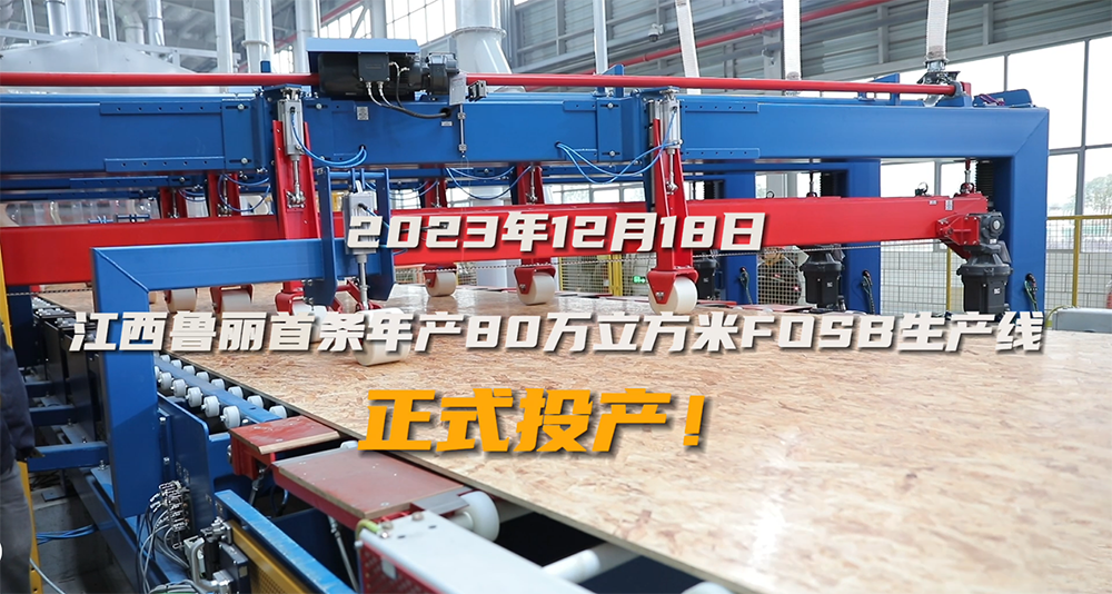 江西太阳成集团tyc122cc首条年产80万立方米FOSB生产线正式投产