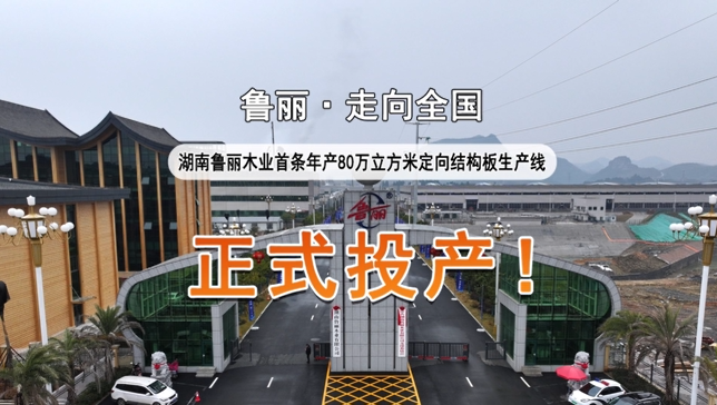 湖南太阳成集团tyc122cc首条年产80万立方米定向结构板生产线正式投产